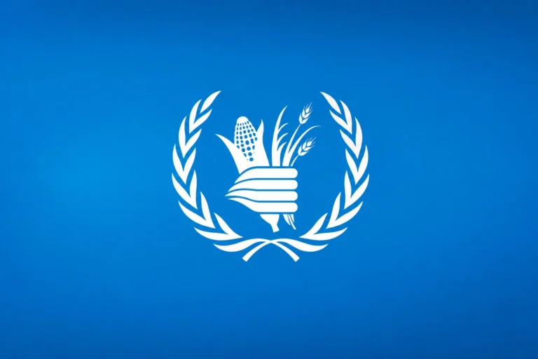 حقيقة استكمال دفعة 750 شيكل من كود الغذاء العالمي إلى 1250 شيكل في غزة حقيقة استكمال دفعة 750 شيكل من كود الغذاء العالمي إلى 1250 شيكل في غزة