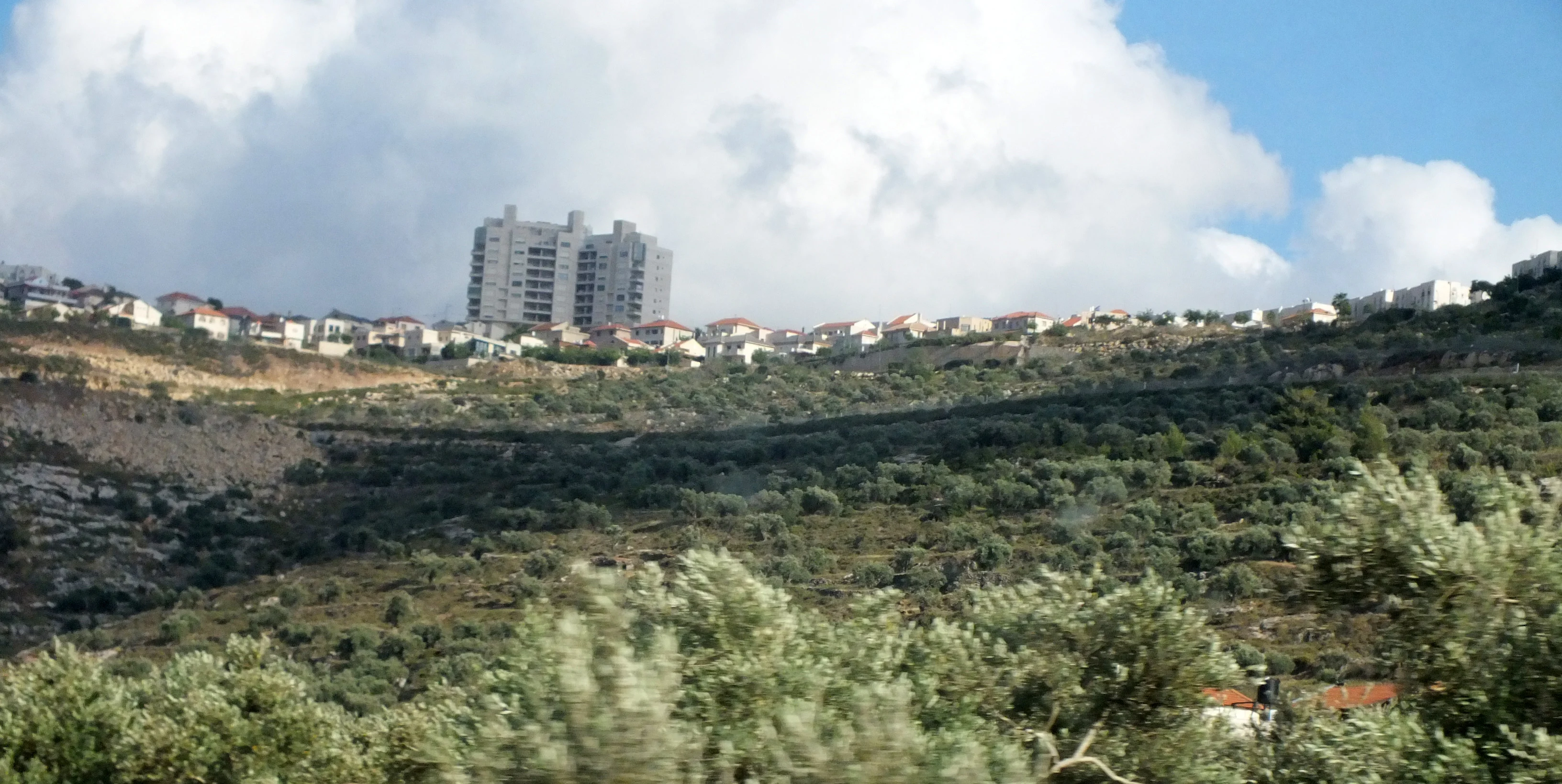 هيئة مقاومة الجدار: 87 فلسطينيًا قتلوا بهجمات مستوطنين منذ 2019